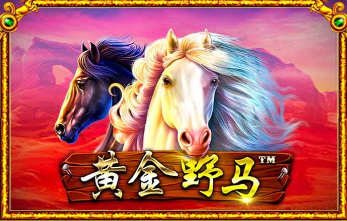 今晚必中一码一肖澳门