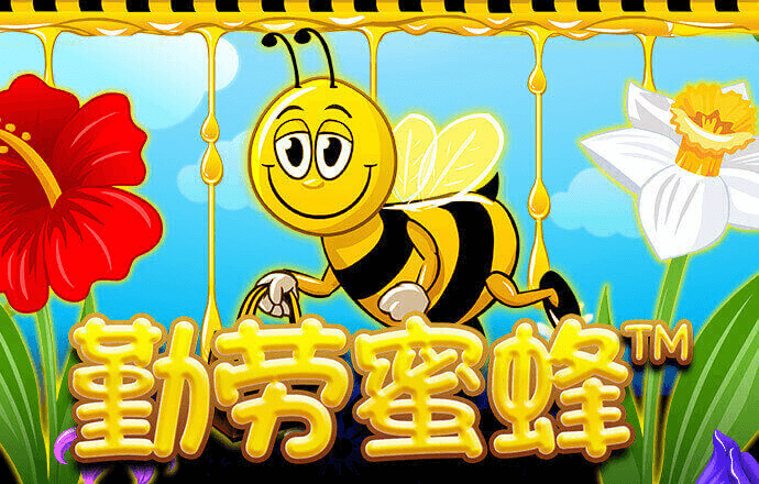 杏彩体育平台app